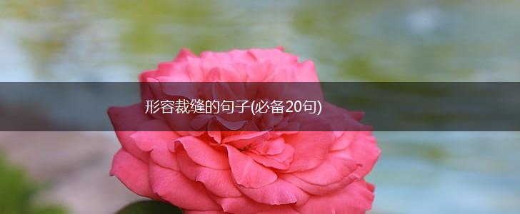 形容裁缝的句子(必备20句),第1张