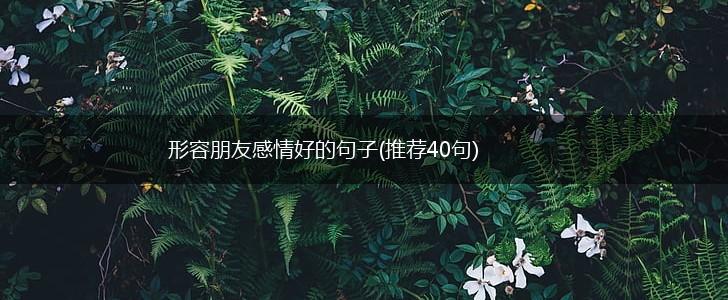 形容朋友感情好的句子(推荐40句),第1张 形容朋友感情好的句子(推荐40句),第1张