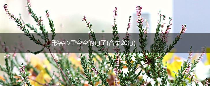 形容心里空空的句子(合集20句),第1张