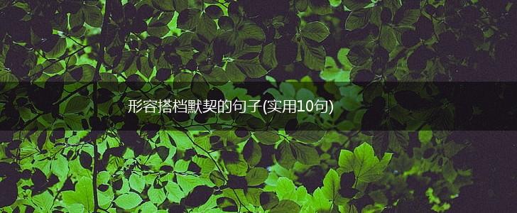 形容搭档默契的句子(实用10句),第1张 形容搭档默契的句子(实用10句),第1张