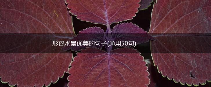 形容水景优美的句子(通用50句),第1张