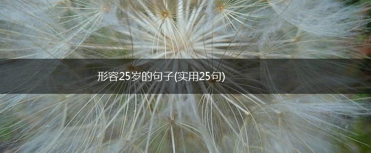 形容25岁的句子(实用25句),第1张