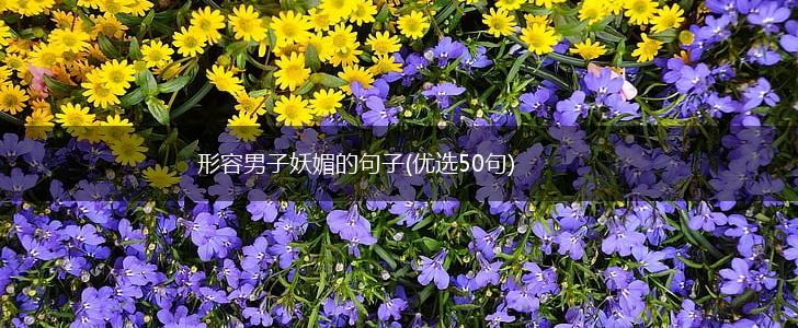 形容男子妖媚的句子(优选50句),第1张