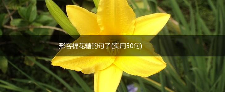 形容棉花糖的句子(实用50句),第1张