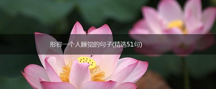 形容一个人睡觉的句子(精选51句),第1张