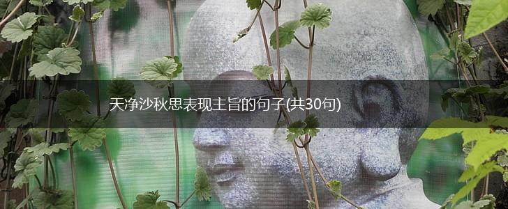 天净沙秋思表现主旨的句子(共30句),第1张