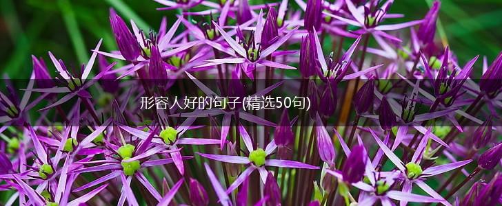 形容人好的句子(精选50句),第1张