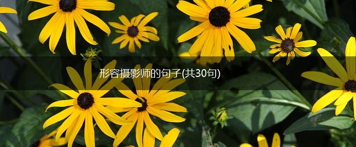 形容摄影师的句子(共30句),第1张