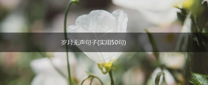 岁月无声句子(实用50句),第1张