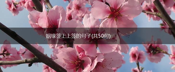 姻缘签上上签的句子(共50句),第1张