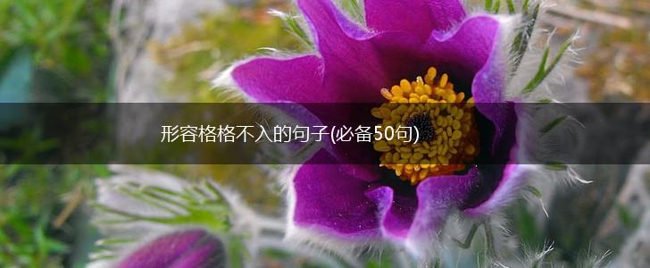 形容格格不入的句子(必备50句)