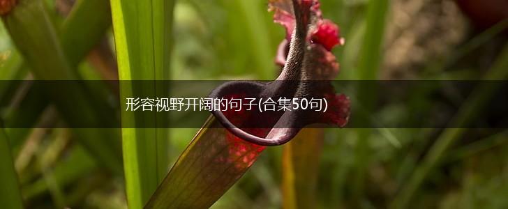 形容视野开阔的句子(合集50句),第1张