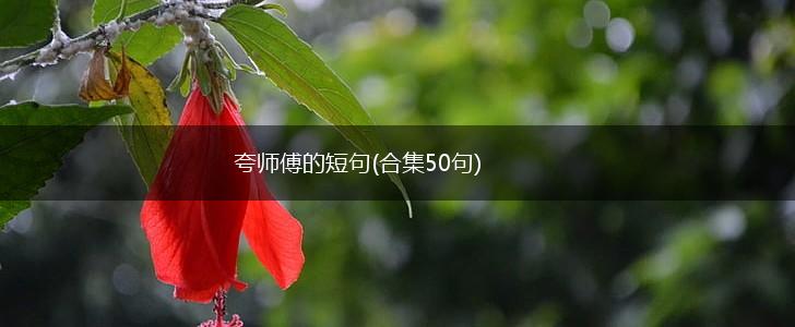 夸师傅的短句(合集50句),第1张