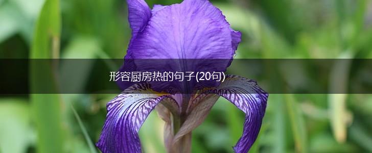 形容厨房热的句子(20句),第1张