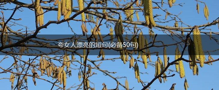 夸女人漂亮的短句(必备50句),第1张