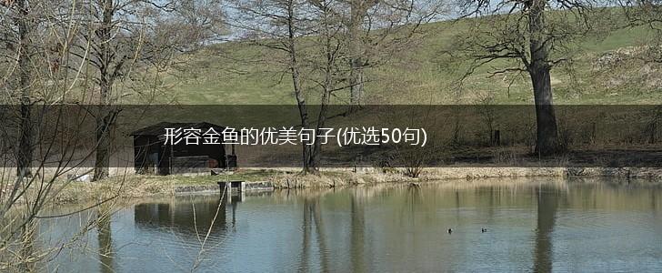 形容金鱼的优美句子(优选50句),第1张