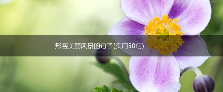 形容美丽风景的句子(实用50句),第1张