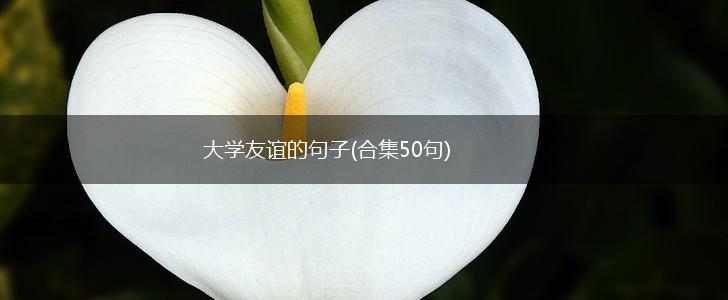 大学友谊的句子(合集50句),第1张