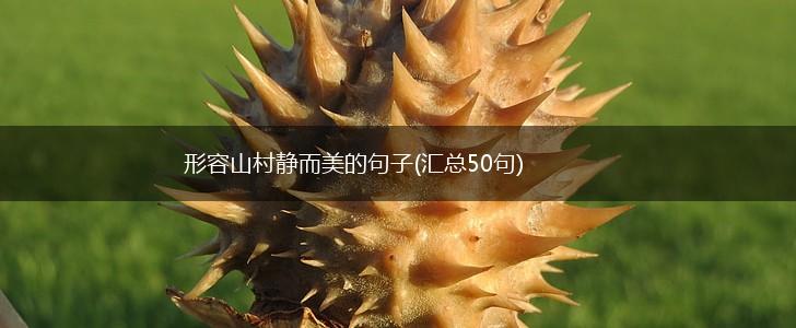 形容山村静而美的句子(汇总50句),第1张