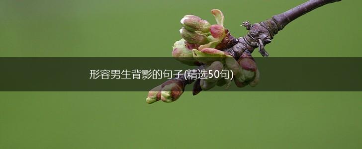 形容男生背影的句子(精选50句),第1张