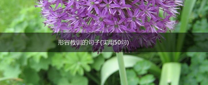 形容教训的句子(实用50句),第1张