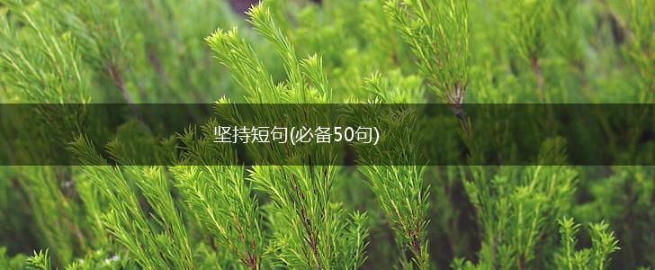坚持短句(必备50句),第1张