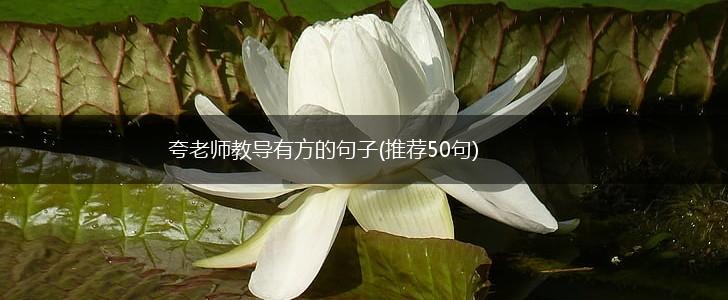 夸老师教导有方的句子(推荐50句),第1张