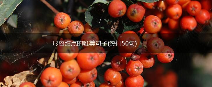 形容甜点的唯美句子(热门50句),第1张