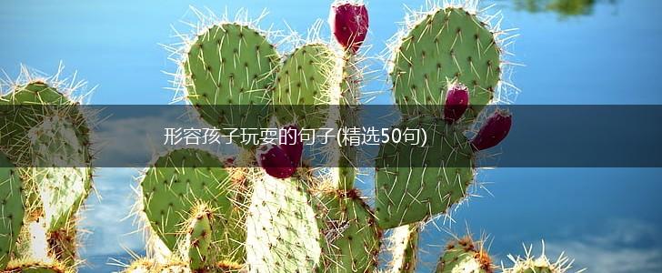 形容孩子玩耍的句子(精选50句),第1张