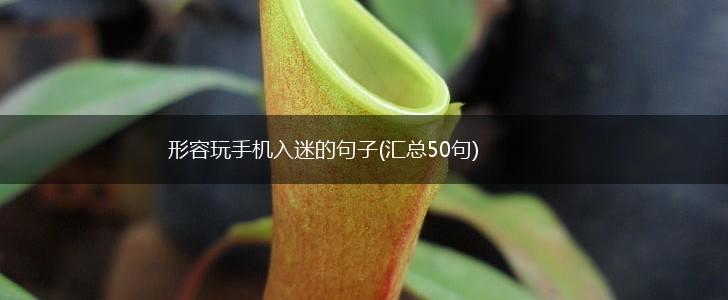 形容玩手机入迷的句子(汇总50句),第1张