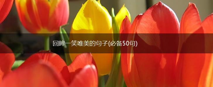 回眸一笑唯美的句子(必备50句),第1张