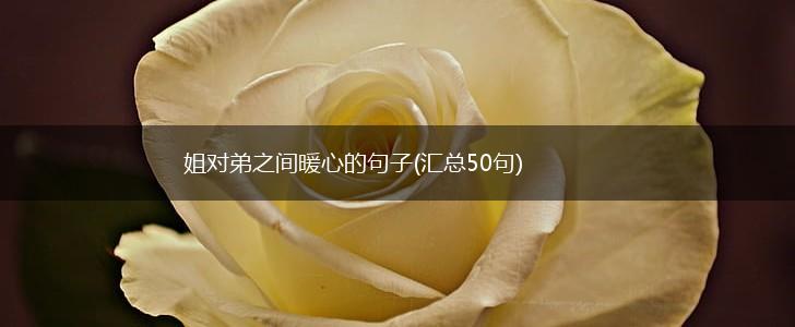 姐对弟之间暖心的句子(汇总50句),第1张