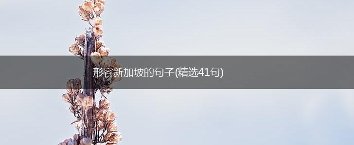 形容新加坡的句子(精选41句),第1张