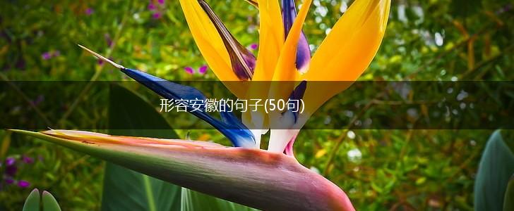 形容安徽的句子(50句),第1张