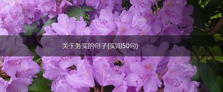 关于务实的句子(实用50句),第1张