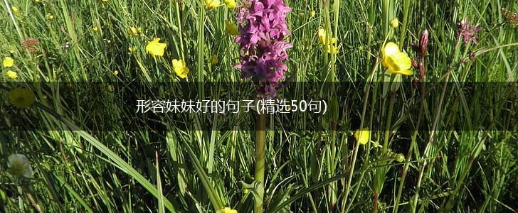 形容妹妹好的句子(精选50句),第1张