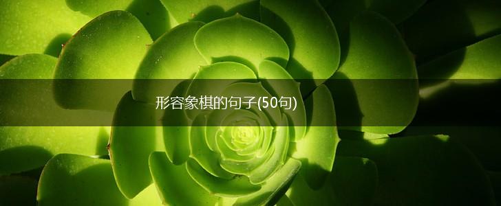 形容象棋的句子(50句),第1张