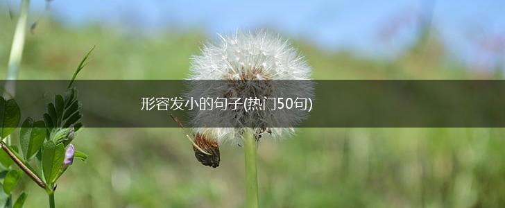 形容发小的句子(热门50句),第1张