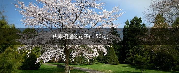 庆幸相遇的句子(共50句),第1张