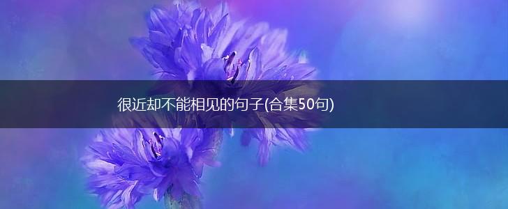 很近却不能相见的句子(合集50句),第1张