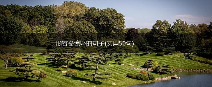 形容受惊吓的句子(实用50句),第1张 形容受惊吓的句子(实用50句),第1张