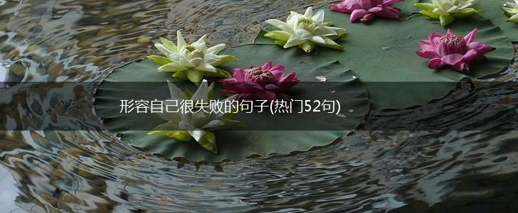 形容自己很失败的句子(热门52句),第1张