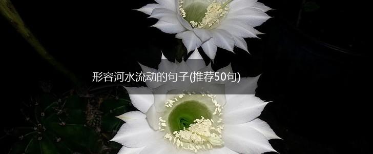 形容河水流动的句子(推荐50句),第1张