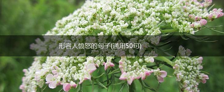 形容人愤怒的句子(通用50句),第1张