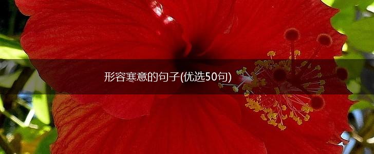 形容寒意的句子(优选50句),第1张