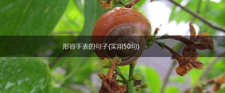 形容手表的句子(实用50句),第1张