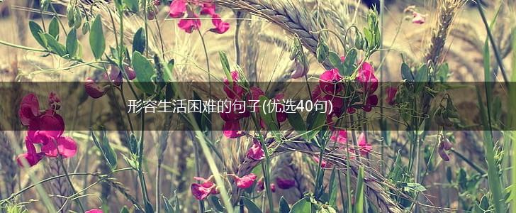 形容生活困难的句子(优选40句),第1张