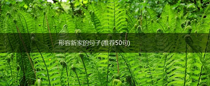 形容新家的句子(推荐50句),第1张