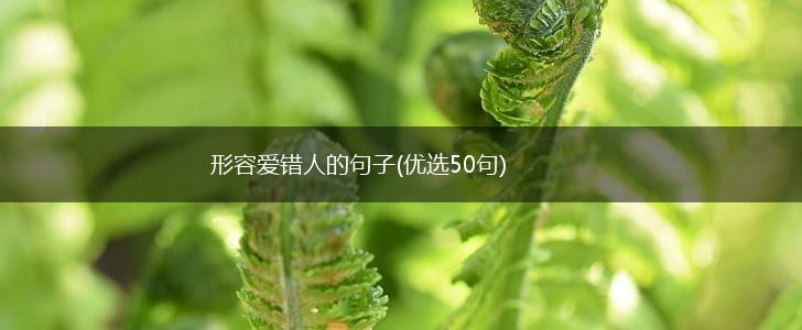 形容爱错人的句子(优选50句),第1张