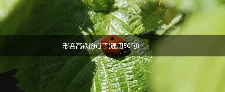 形容高铁的句子(通用50句),第1张